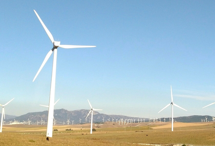 Windmills located in an open area
